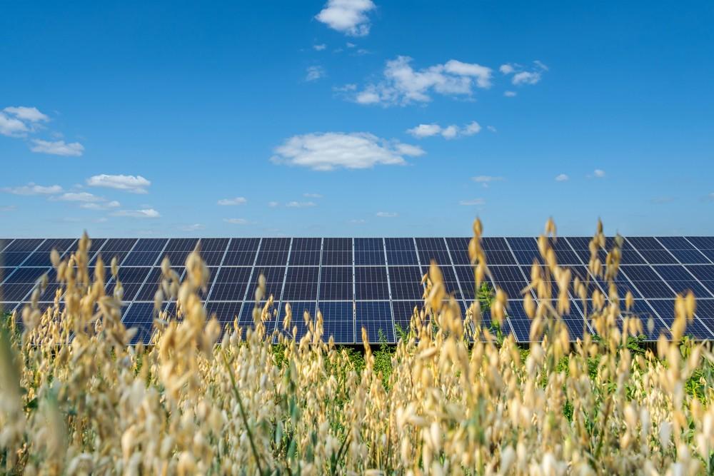 Agronegócio: Energia solar, a sua aliada no campo!