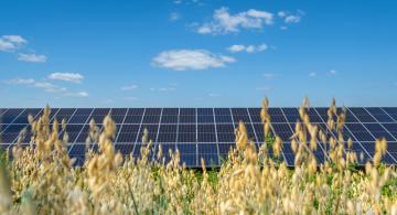 Agronegócio: Energia solar, a sua aliada no campo!